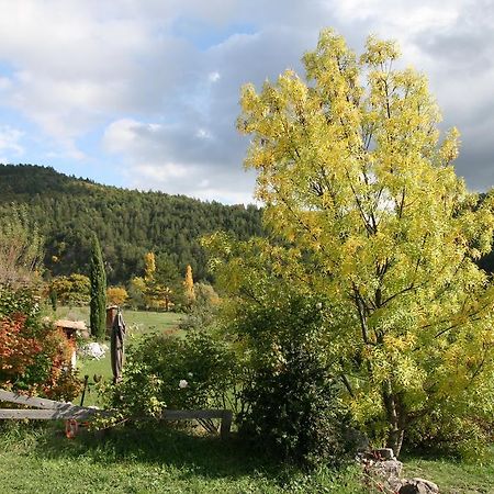 Les Hauts De L'Escoulaou Hotel Castellane Phòng bức ảnh