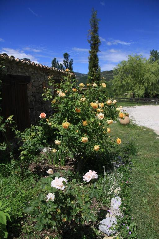 Les Hauts De L'Escoulaou Hotel Castellane Phòng bức ảnh